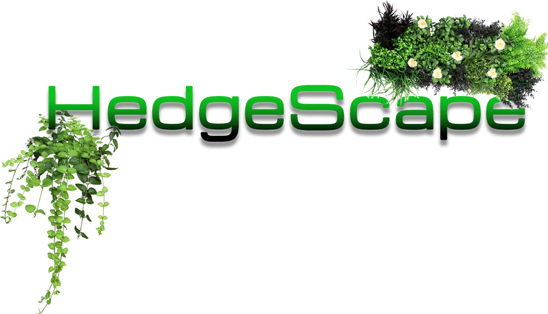 HedgeScape logo