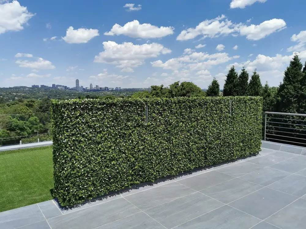 Terrace screen with skyline view: A long freestanding hedge creates privacy at terrace level while leaving the distant skyline open above it.