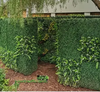 Custom curved and maze-like hedge forms: Sculpted artificial hedge structures create curved edges, recesses and a maze-like garden feature.
