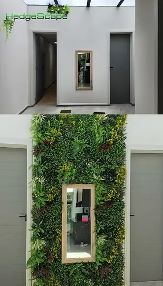 Window surround before and after: Mixed foliage is installed around a narrow exterior window to create a vertical feature on the white façade.