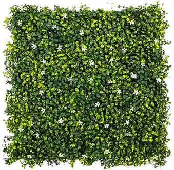 Jasmine artificial hedging panel Gauteng