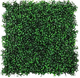 Boxwood artificial hedging panel Gauteng