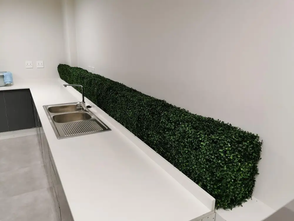 Kitchen splashback hedge strip: A narrow hedge strip follows the length of the counter between the worktop and blank wall.